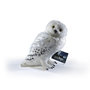 Harry Potter Plush, Hedwig, 30cm, The Noble Collection