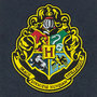 Harry Potter Wall Banner Hogwards (42,5 X 29CM)